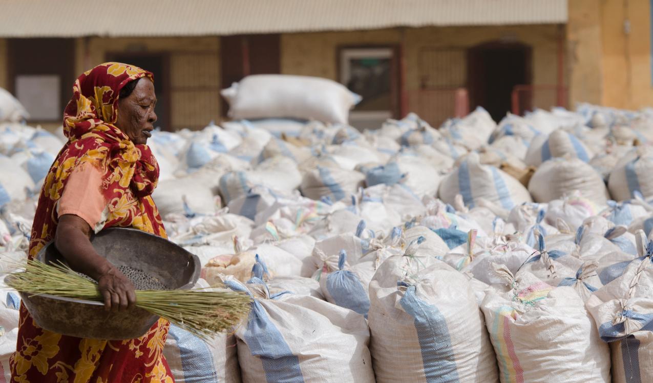 A female trader at the Al Obaied Crop Market, Sudan. © Salahaldeen Nadir / World Bank