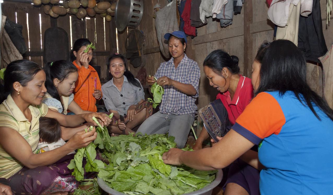 Women cleaning fresh greens in Oudomxay province, Lao PDR. © Bart Verweij / World Bank