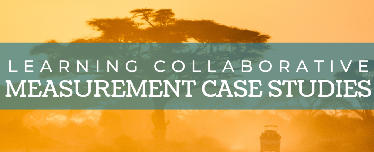 Learning Collaborative Measurement Project Summaries