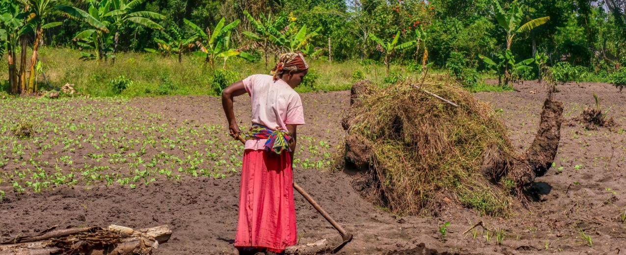 A young rural Ugandan woman prepares garden soil for planting vegetables. © Cheryl Ramalho / Shutterstock