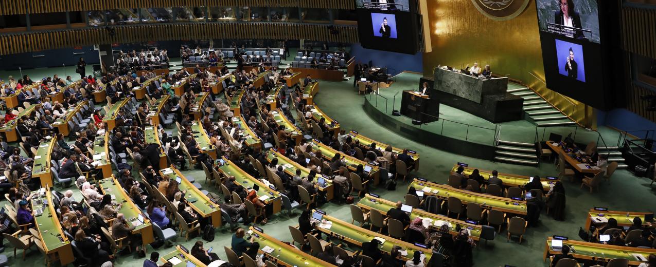 The opening session of CSW68. © UN Women/Ryan Brown