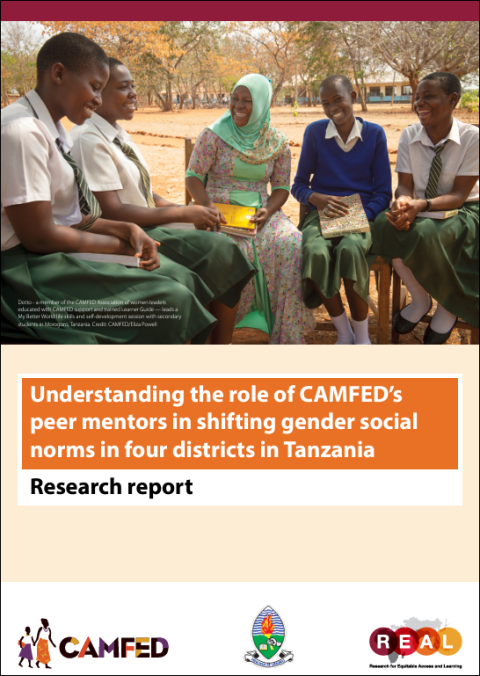 Cover of report