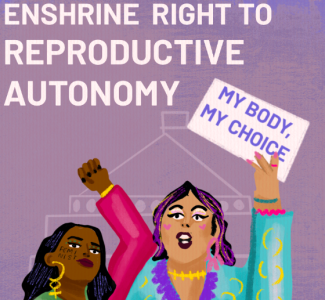 Enshrine right to reproductive autonomy