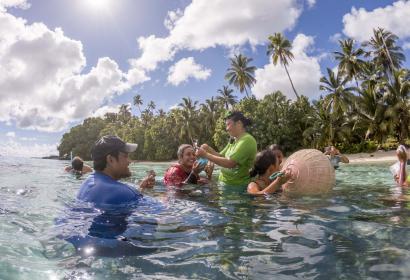 Coral planting in Fiji  © Will Seal